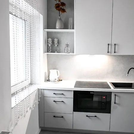 Apartpalm 大波兰地区格罗济斯克